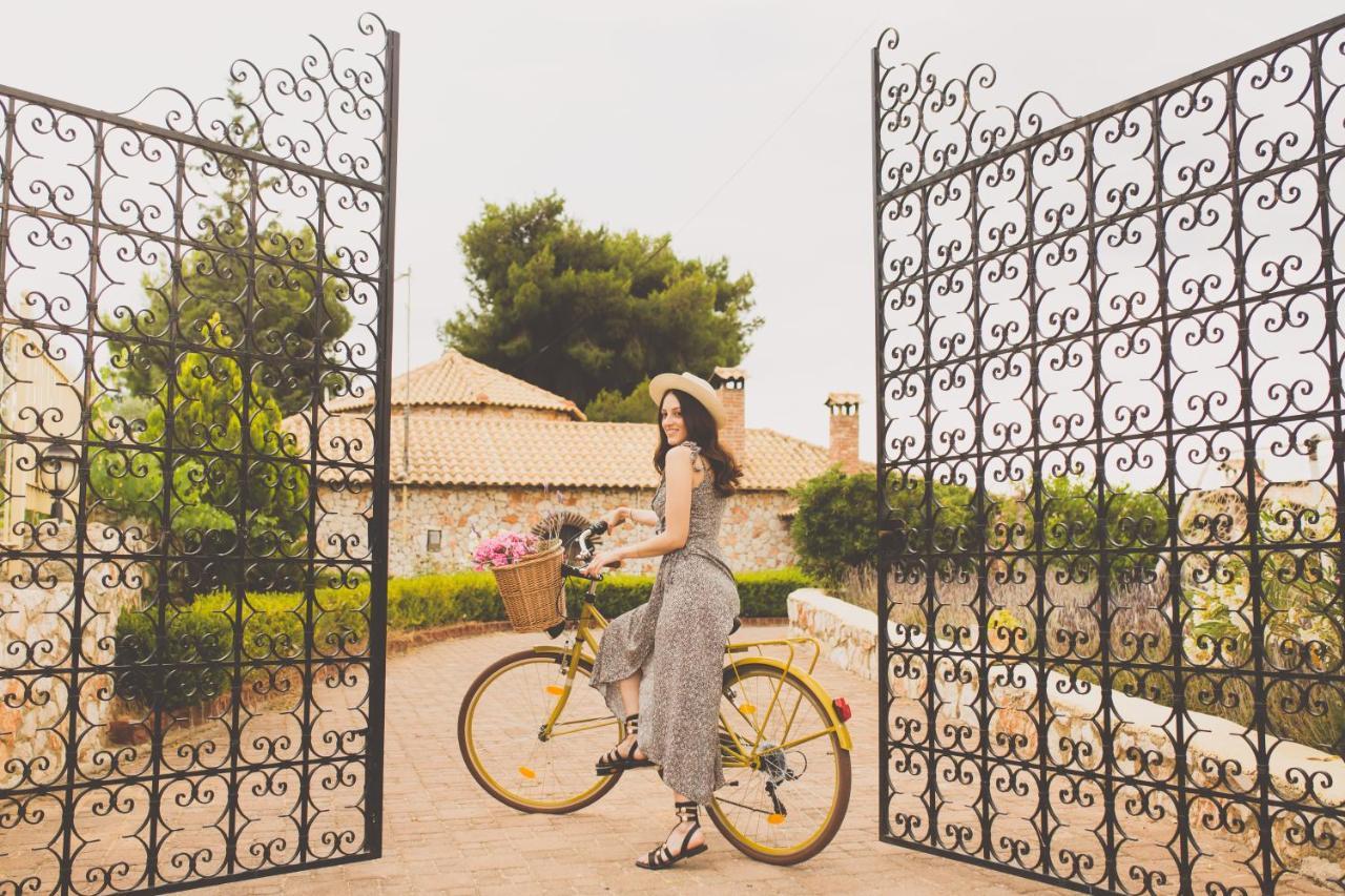 Vintage Stone House Where Calm Lives Amarianos Exterior foto